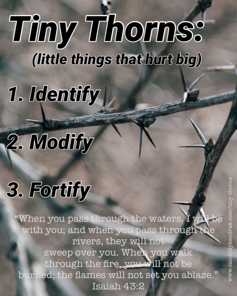 When Little Things Hurt Big (Tiny Thorns) - Candidly Kendra